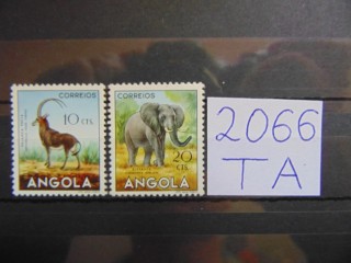 Фото марки Ангола 1953г *