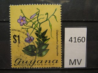 Фото марки Гвиана 1971г