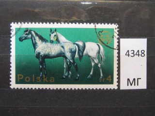 Фото марки Польша 1975г