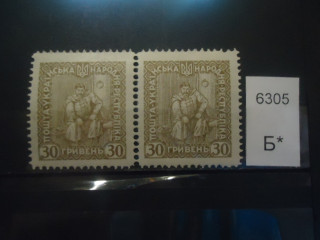 Фото марки Украина 1920г пара *