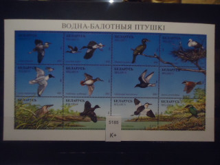 Фото марки Беларусь 1996г малый лист (9€) **