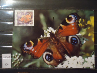 Фото марки Югославия почтовая карточка