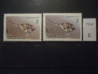 Фото марки СССР 1985г (разный оттенок фона и шерстки зверька, разный клей) **