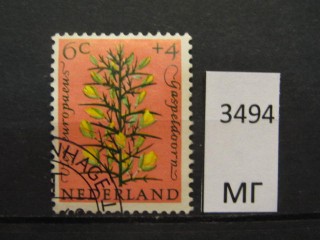 Фото марки Нидерланды 1960г