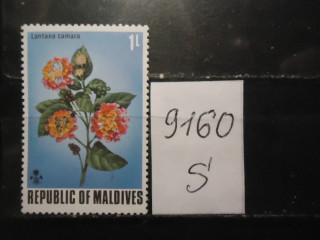 Фото марки Мальдивы 1973г **