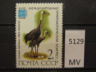 Фото марки СССР 1982г *