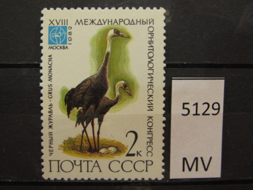 Фото марки СССР 1982г *