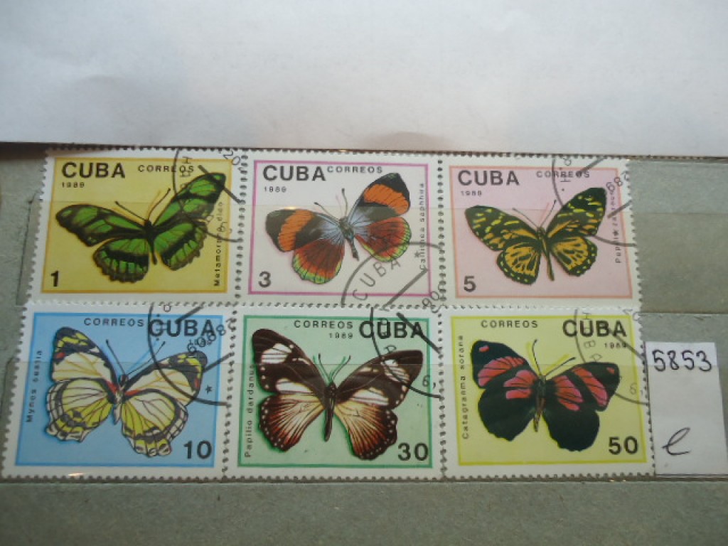 Сколько стоит марка куба. Почтовые марки Cuba. Марки Кубы. Почт марки Куба. Марки животные Cuba.