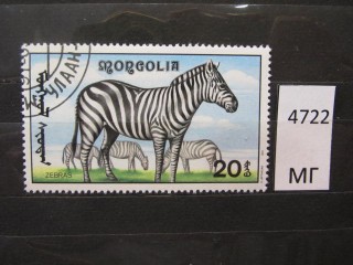 Фото марки Монголия 1991г
