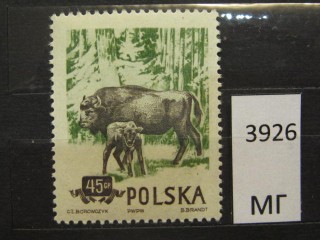 Фото марки Польша 1954г *