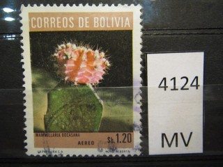 Фото марки Боливия 1973г
