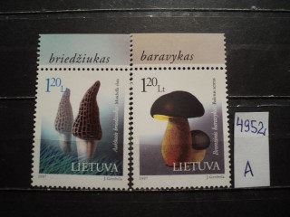 Фото марки Литва серия **