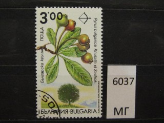 Фото марки Болгария 1992г