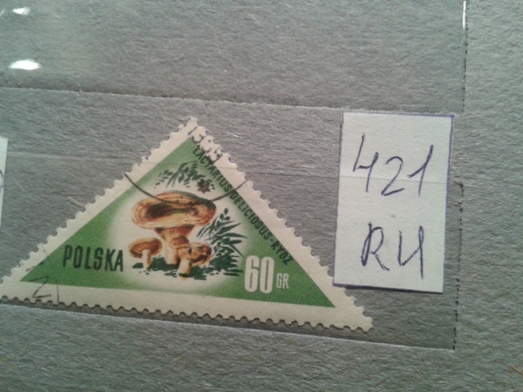 Фото марки Польша 1959г