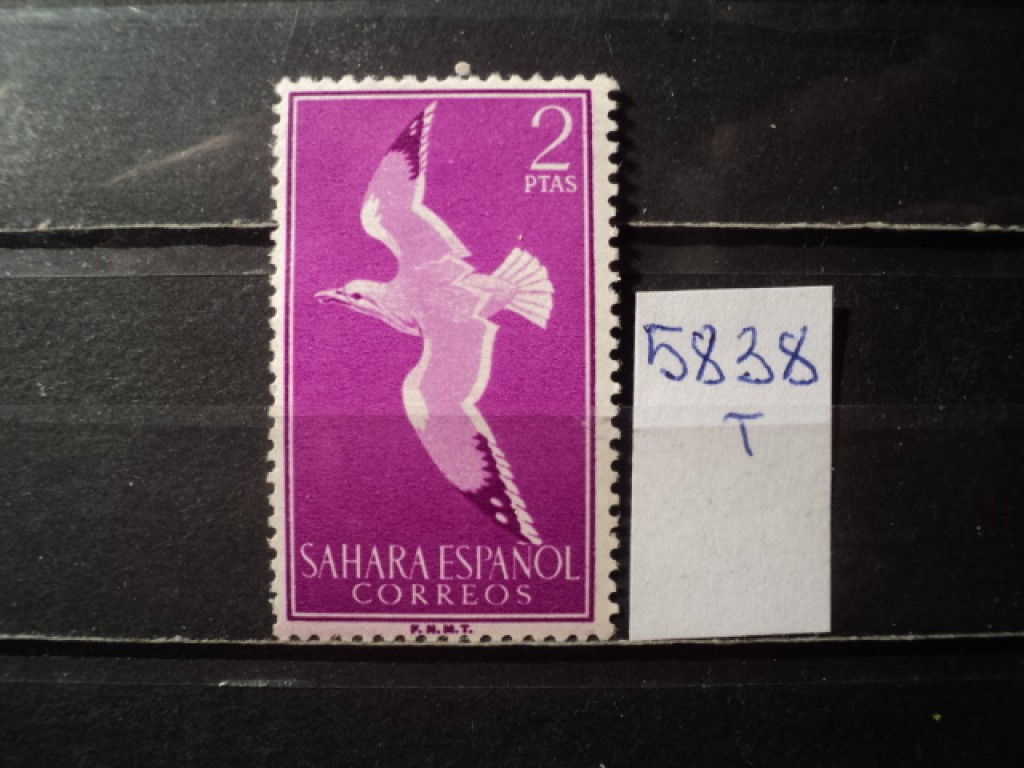 Фото марки Испан. Сахара 1959г *