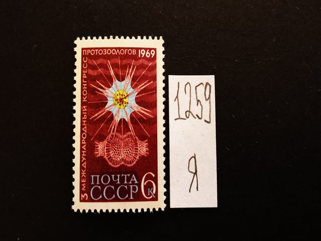 Фото марки СССР 1969г **