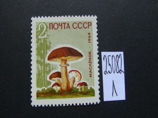 Фото марки СССР 1964г **