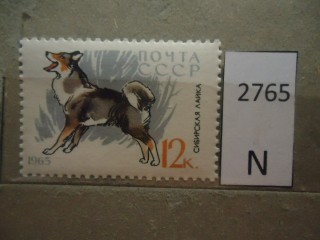 Фото марки СССР 1965г **