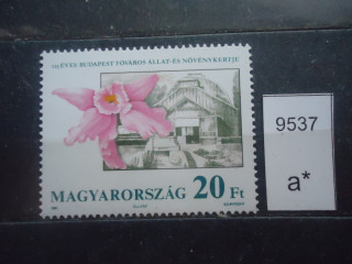 Фото марки Венгрия 1991г **