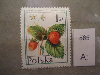 Фото марки Польша 1977г **