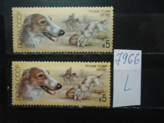 Фото марки СССР 1988г (разный оттенок фона, цвета шерсти собак; разный клей) **