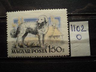 Фото марки Венгрия 1956г *
