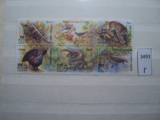 Фото марки Россия 1997г сцепка **