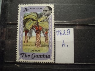 Фото марки Гамбия **