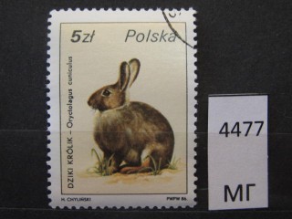 Фото марки Польша 1986г