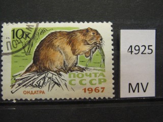 Фото марки СССР 1967г