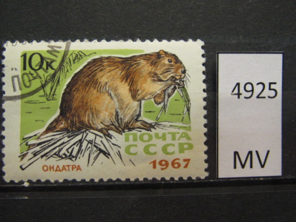 Фото марки СССР 1967г