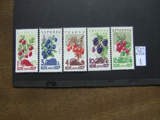Фото марки СССР 1964г серия **
