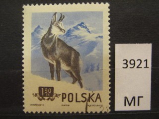 Фото марки Польша 1954г
