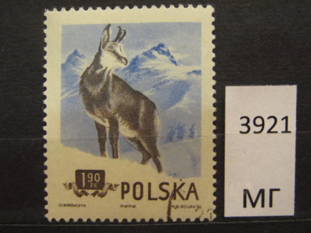 Фото марки Польша 1954г