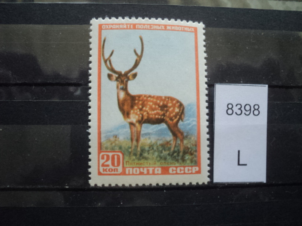 Фото марки СССР 1956-60гг **