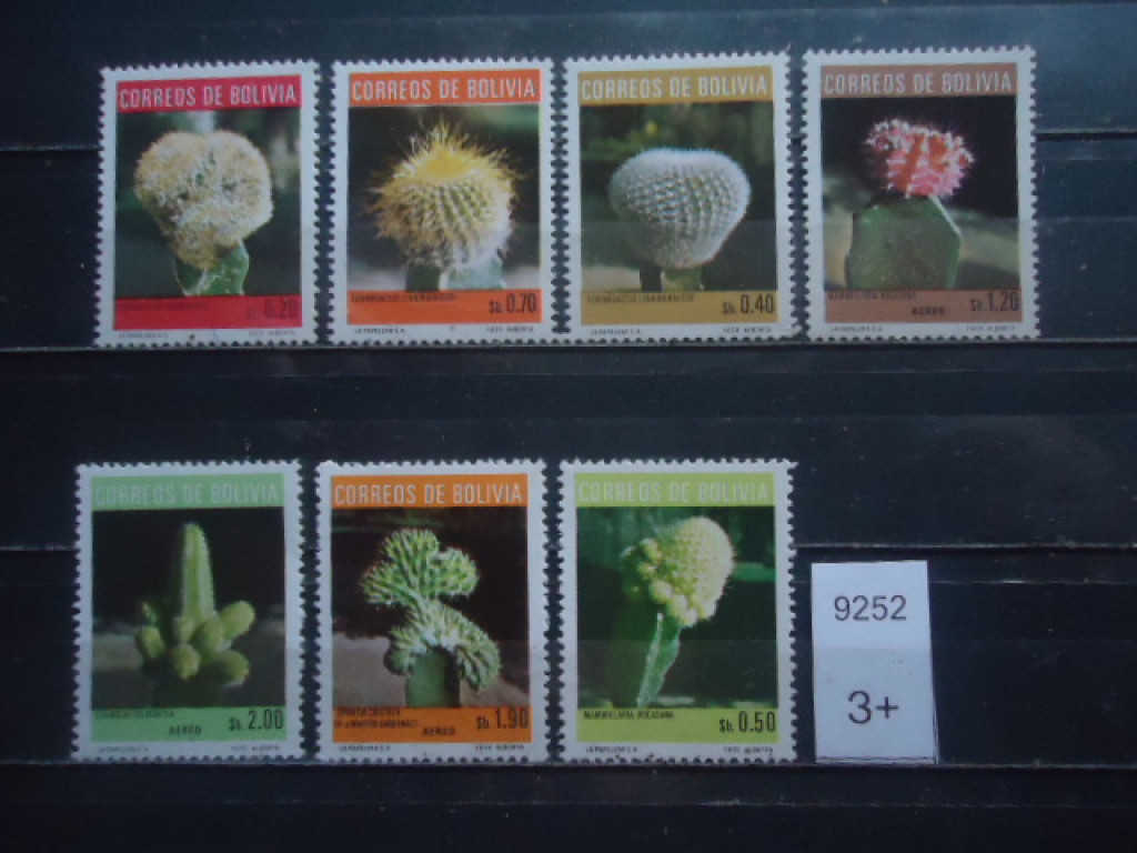 Фото марки Боливия 1973г **