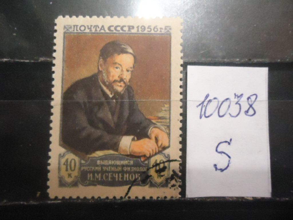 Фото марки СССР 1956г (СТО)
