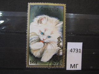 Фото марки Монголия 1991г
