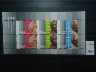 Фото марки Нидерланды малый лист 1999г 8 евро **