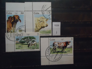 Фото марки Куба 1984г