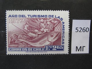 Фото марки Чили 1972г *