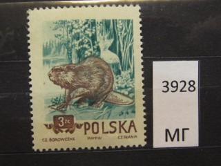 Фото марки Польша 1954г *
