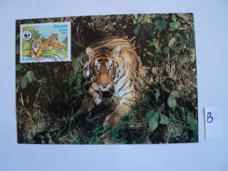 Фото марки Лаос почтовая карточка 1984г