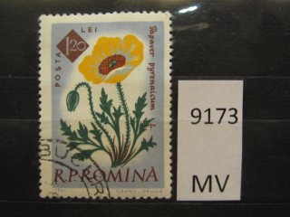 Фото марки Румыния 1961г