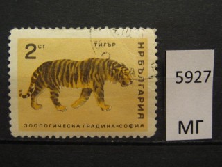 Фото марки Болгария 1966г