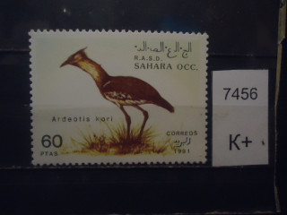 Фото марки Западная Сахара **