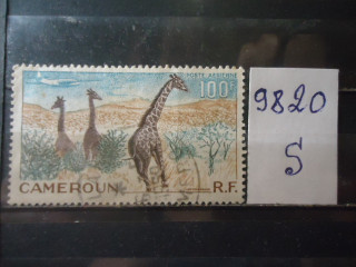 Фото марки Франц. Камерун 1955г