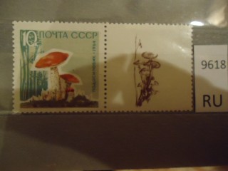 Фото марки СССР 1960-80гг **