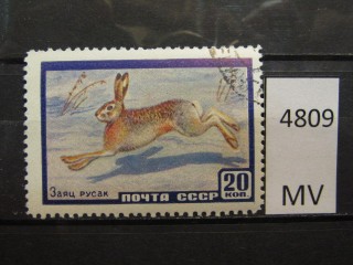 Фото марки СССР 1960г