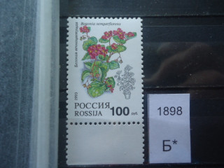 Фото марки Россия 1993г **